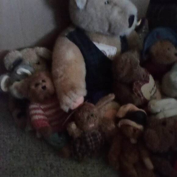 Boyd's bears - Picture 2 of 3